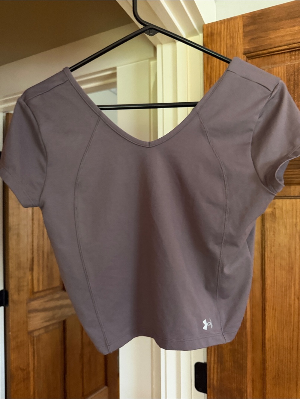 Under Armour Dusty Mauve Short Sleeve V-Neck Performance Tee
